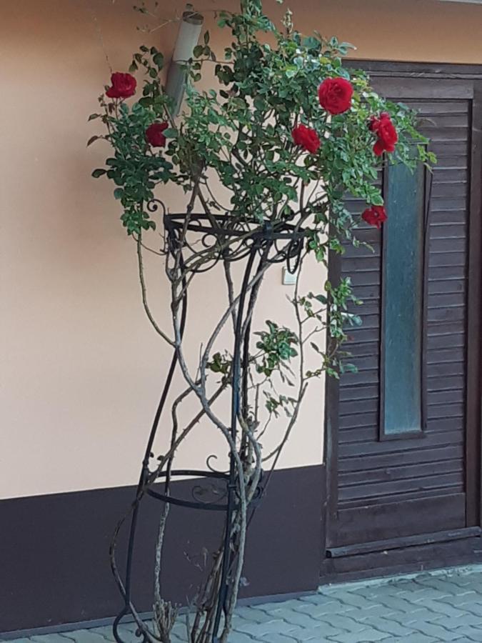 Herkules Apartman Zalakaros Zewnętrze zdjęcie